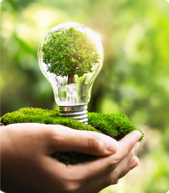 PPF Nordics Biodiversity and Forest Preservation Initiative in Sweden